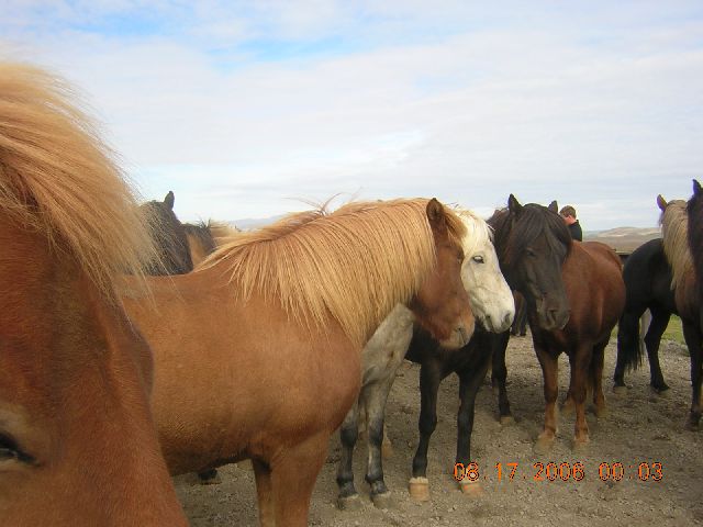 ICELAND 001